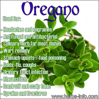 oregano herbal supplement