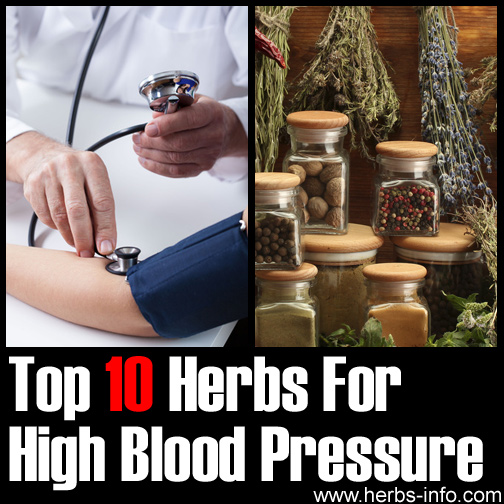 Herbs For High Blood Pressure