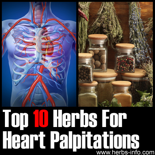 herbs-for-heart-palpitations